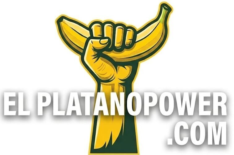 elplatanopower.com